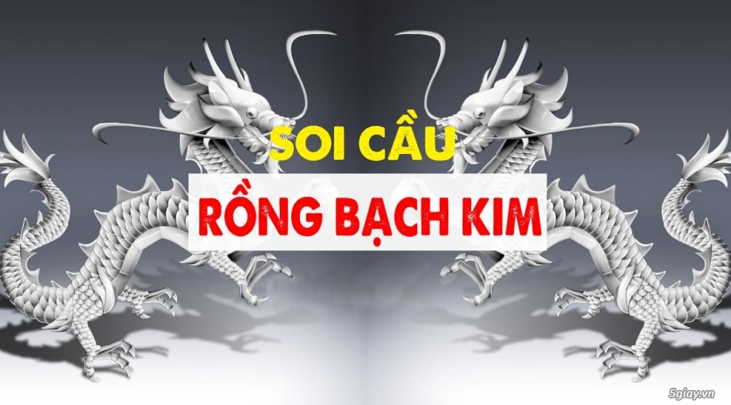 soi cau rong bach kim tiop 88 soi cầu rồng bạch kim